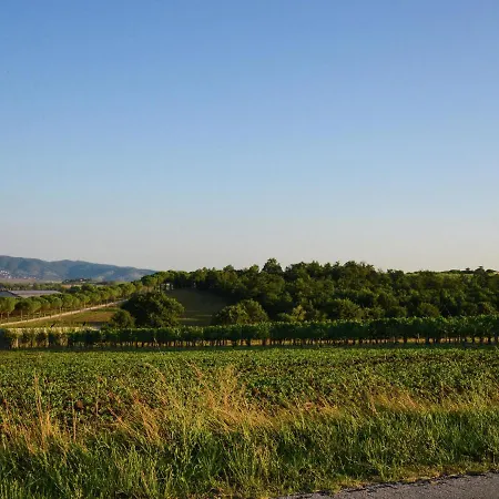 Dom wakacyjny Exotic Farmhouse With Swimming Pool Fireplace Bbq Bicycles Castiglione del Lago